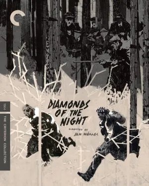 Diamonds of the Night