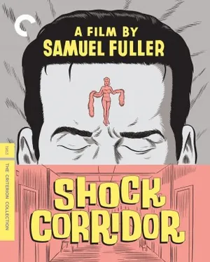 Shock Corridor